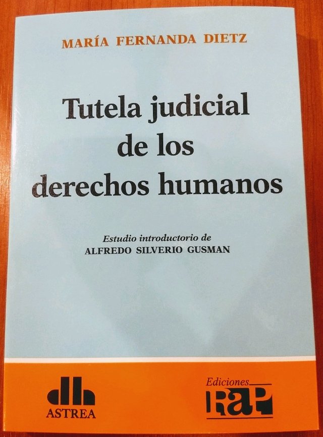 Resultado de imagen para "Tutela judicial de los derechos humanos", de MarÃ­a Fernanda Dietz