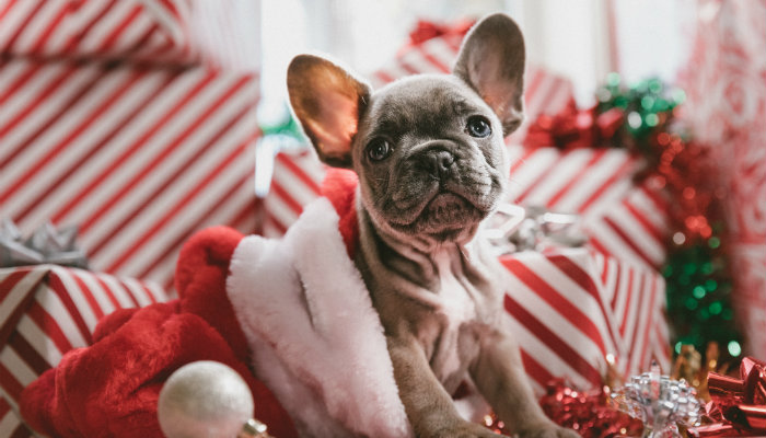 6 claves para preparar tu tienda en Navidad 6 claves para preparar tu tienda en Navidad