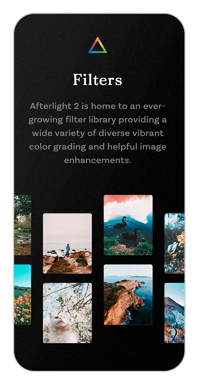 afterlight