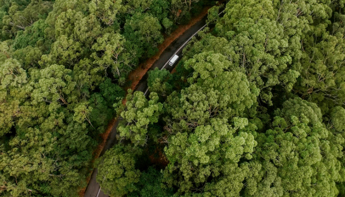 A jornada pode ser mais importante do que o destino A jornada pode ser mais importante do que o destino