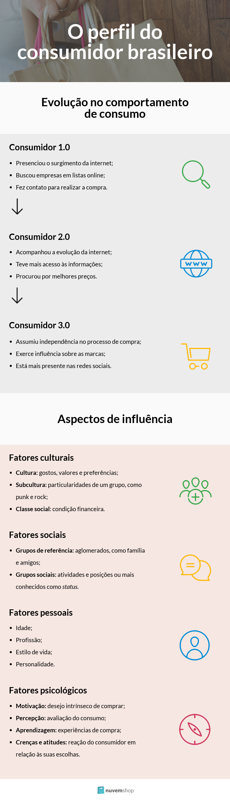 infográfico sobre perfil do consumidor brasileiro