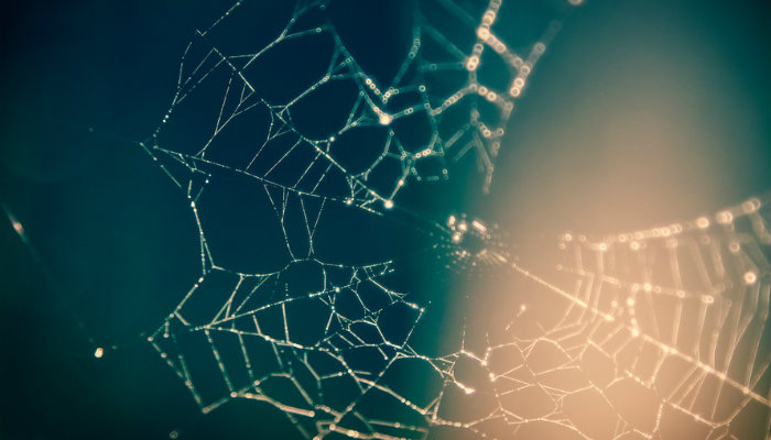 Como criar links internos entre os artigos do seu blog Como criar links internos entre os artigos do seu blog