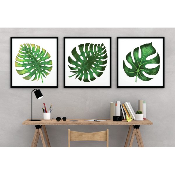 Quadro Decorativo Plantas Folhas Costela De Adao Verde Escuro