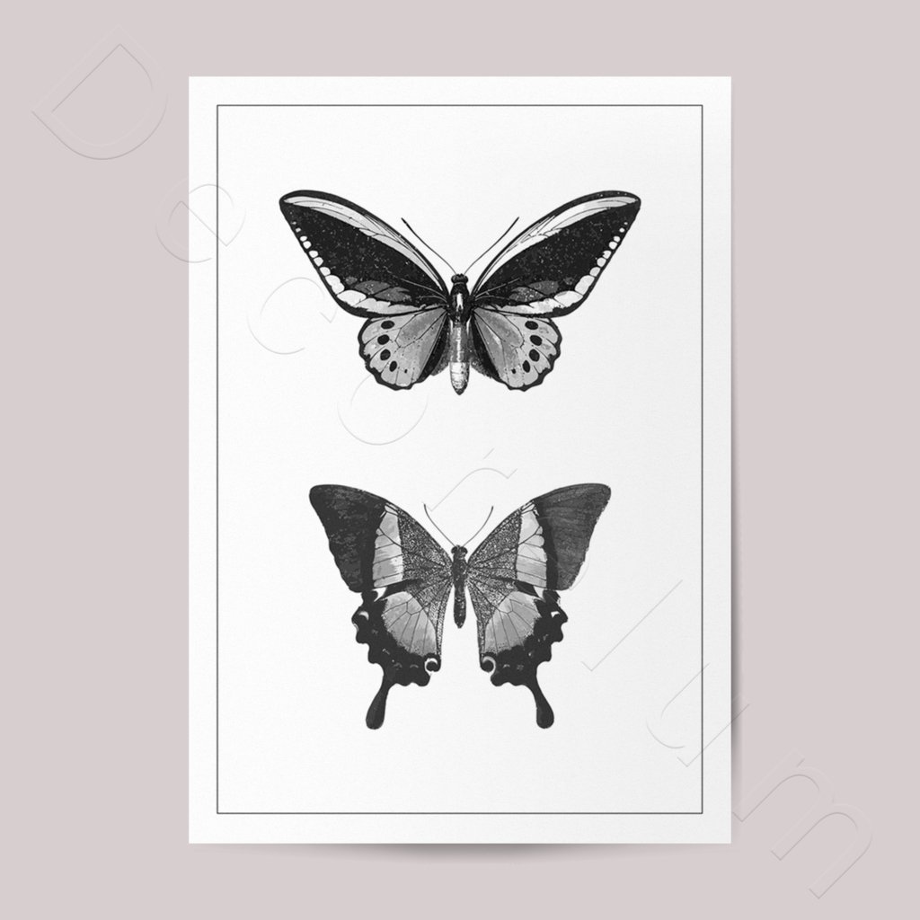 Quadro Borboletas Preto E Branco