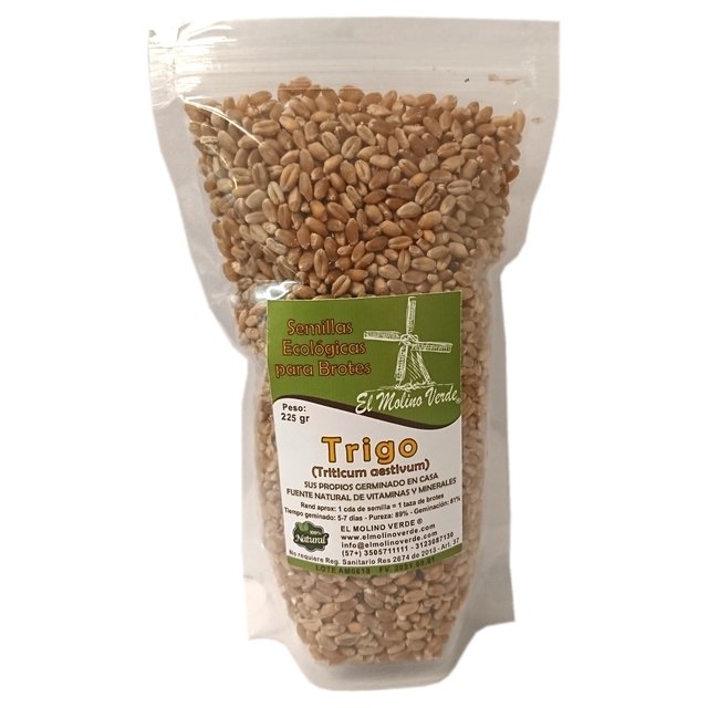 SEMILLA DE TRIGO NATURAL Comprar en EL MOLINO VERDE