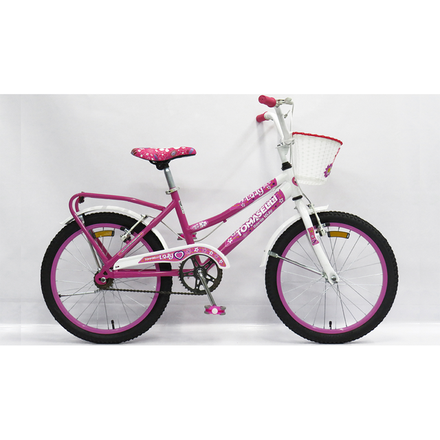 Bicicleta Tomaselli Lady R20 C Accesorios