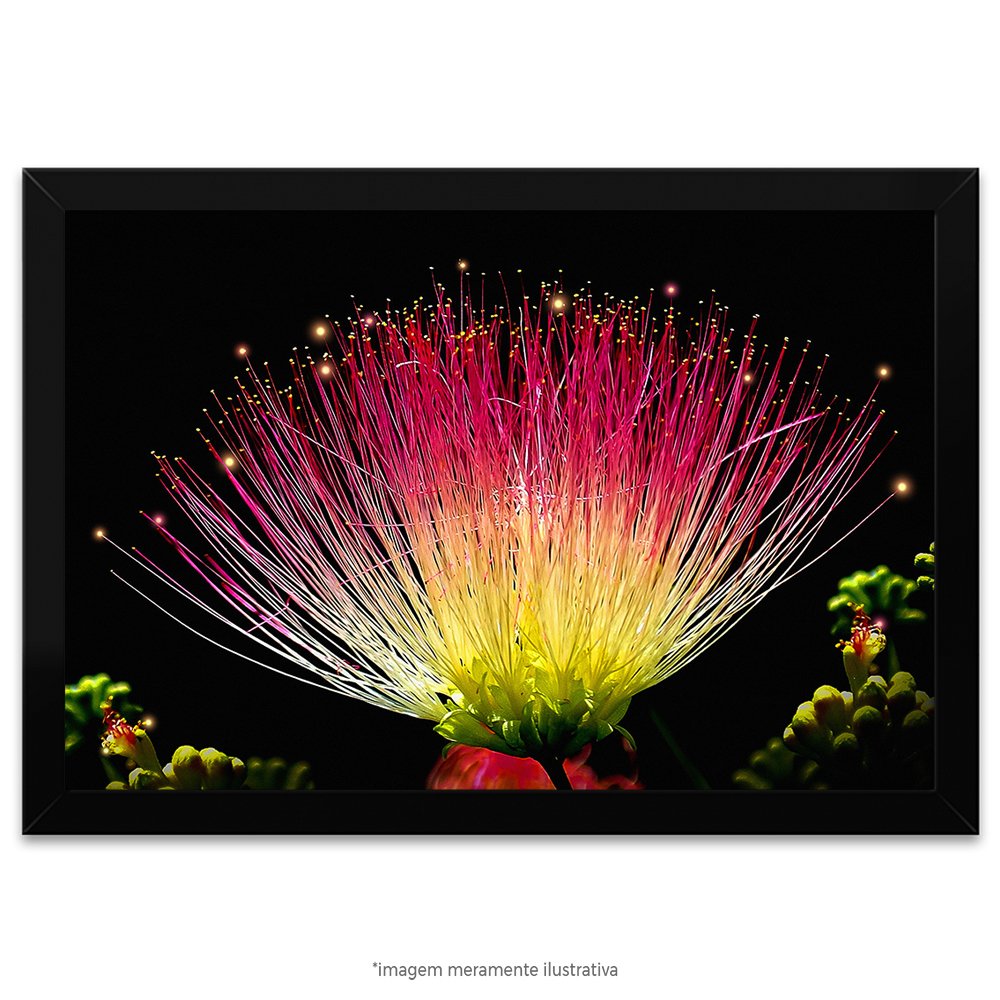 Quadro Decorado Com Cristais Flora Beautiful