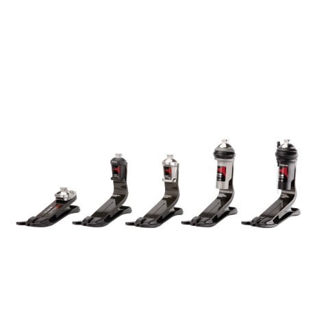 família pés protéticos Triton