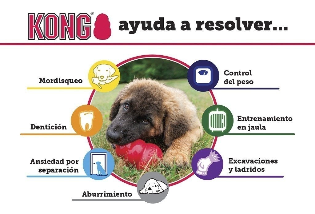 precio de kong para perros