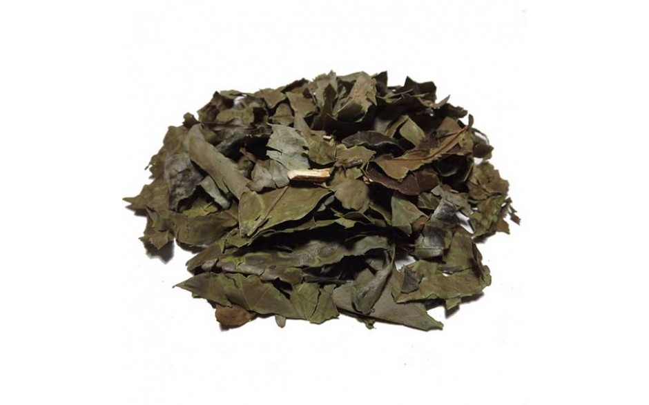 Chá Verde Importado - 100g - Longevita