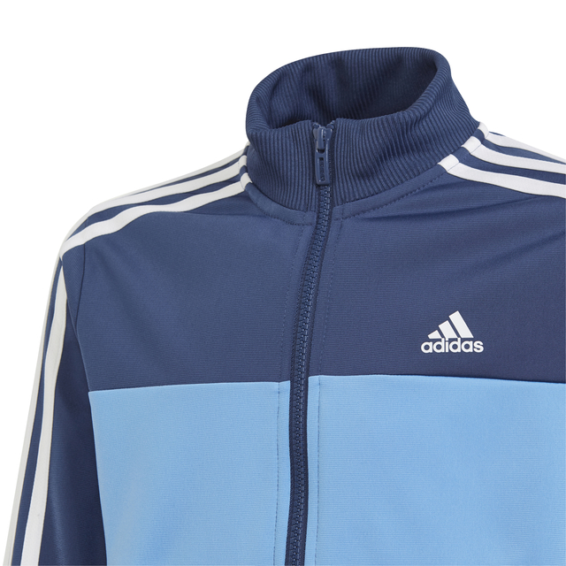 Conjuntos Deportivos De Adidas Online Shop, UP TO 69% OFF |  www.apmusicales.com