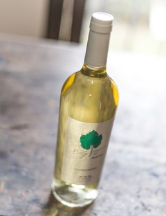 Ego Chardonnay x6 - comprar online