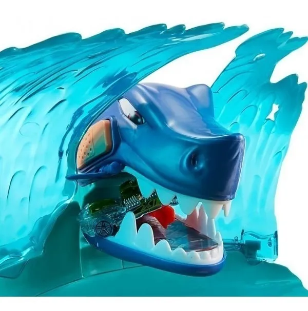 pista de autos tiburon