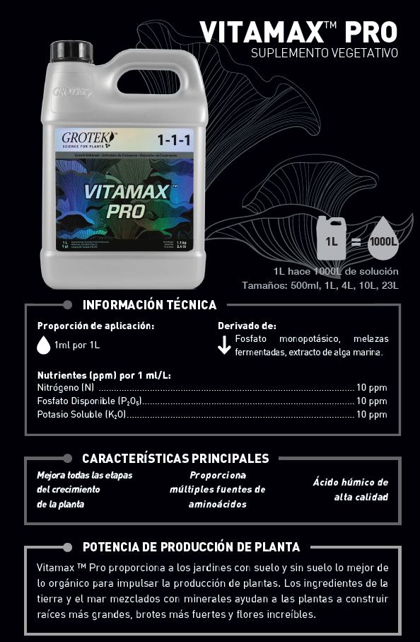 Vitamax Pro Haarkur Von Grotek – Mit Meerespower Für Kräftiges, Gesundes Haar