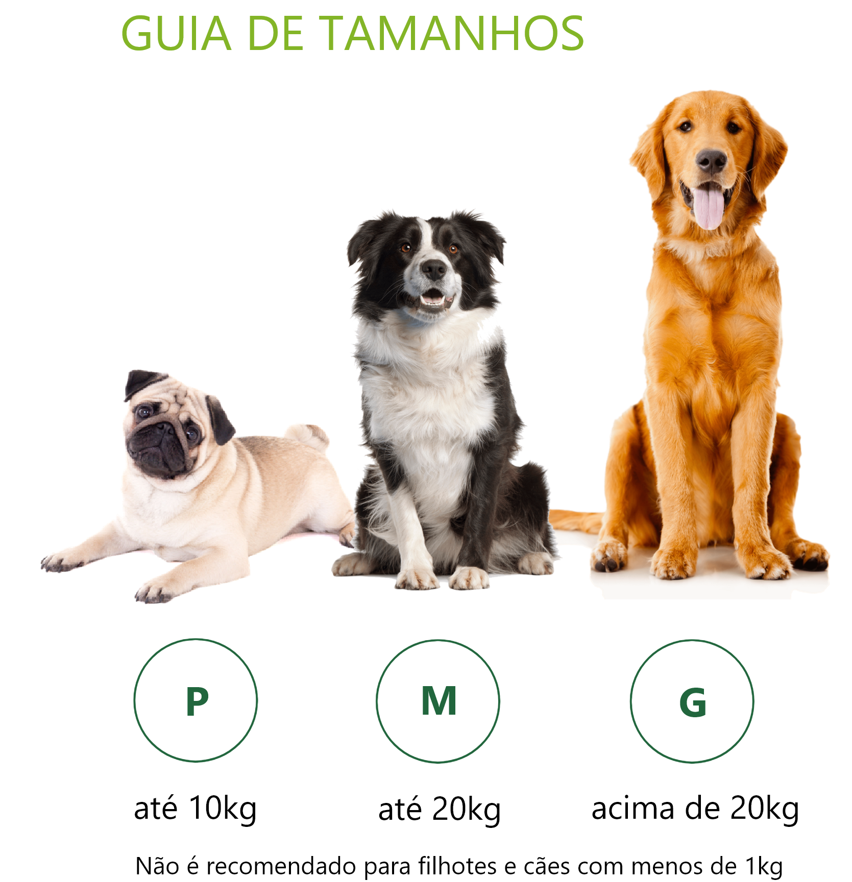 perguntas sobre animais