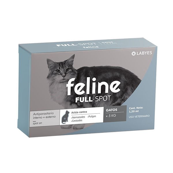 desparasitacion interna para gatos desparasitacion interna para gatos