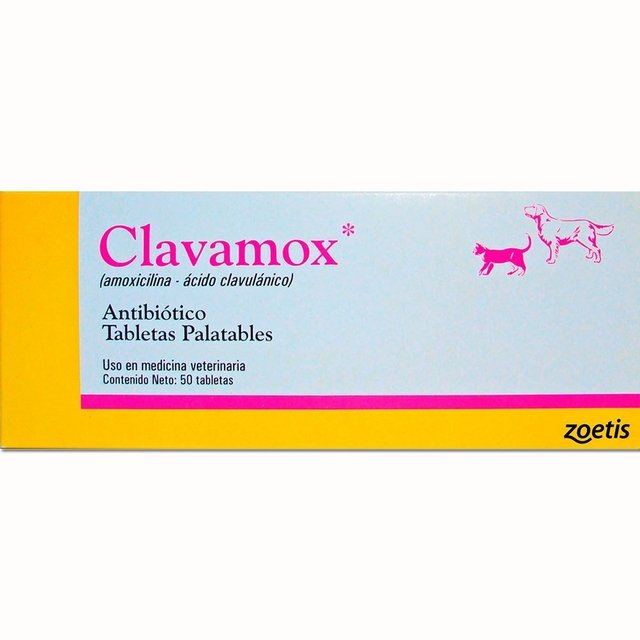 amoxicilina para infeccion estomacal en niños amoxicilina para infeccion estomacal en niños