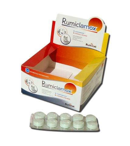 antibiotico para perros para la piel antibiotico para perros para la piel