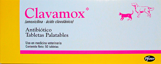 Clavamox 250 mg antibiotico en tabletas palatables