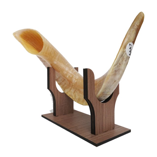 Comprar Combos Shofar de Carnero en hasofrim Filtrado por Más Vendidos