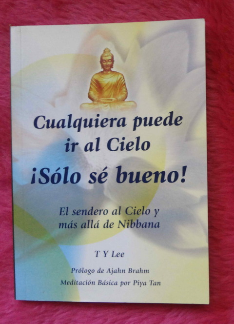 Cualquiera puede ir al cielo - Solo se bueno de T Y Lee - Budismo