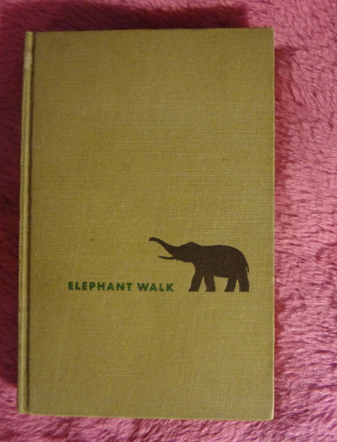 Elephant walk by Robert Standish