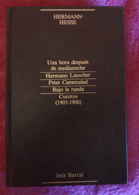 Hermann Hesse - Narrativa completa - Summa Literaria 18