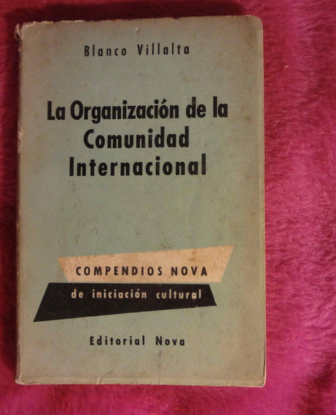 La organizacion de la comunidad internacional de Blanco Villalta