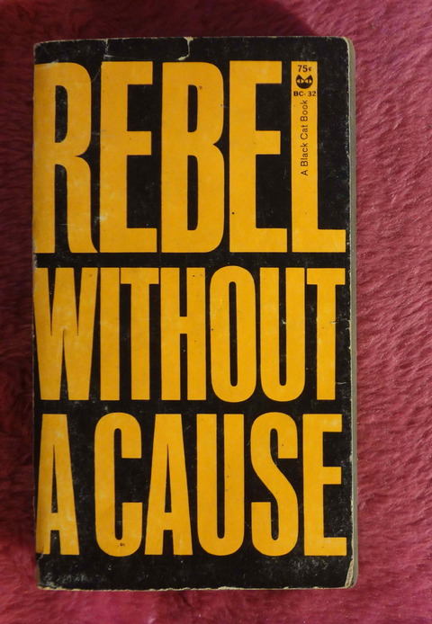 Rebel without a cause by Robert M. Lindner