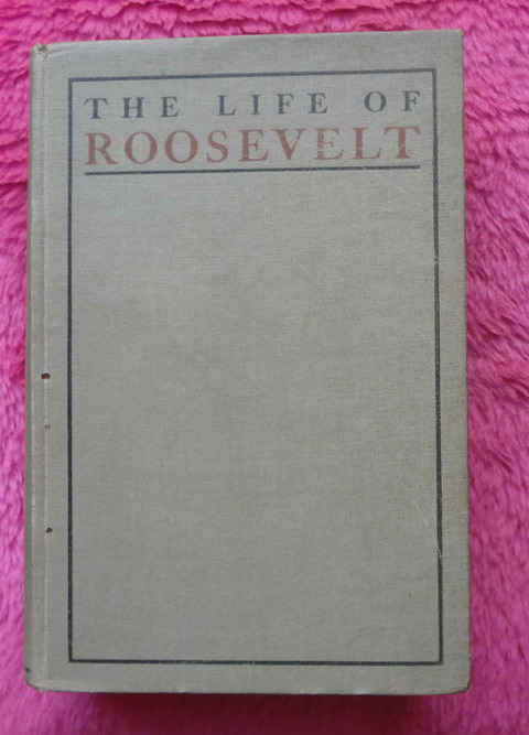 The life of Theodore Roosevelt by Hermann Hagedorn