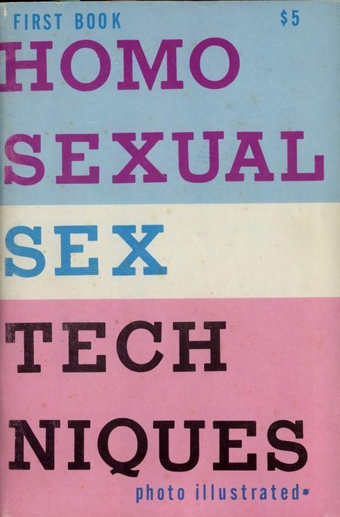 Homosexual Sex Techniques - First Book