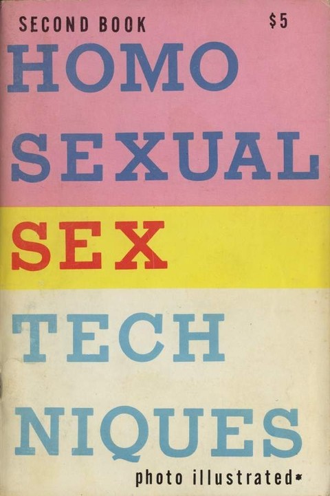 Homosexual Sex Techniques - Second Book
