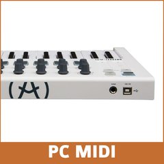 ARTURIA MINILAB MKII CONTROLADOR MIDI 25 TECLAS