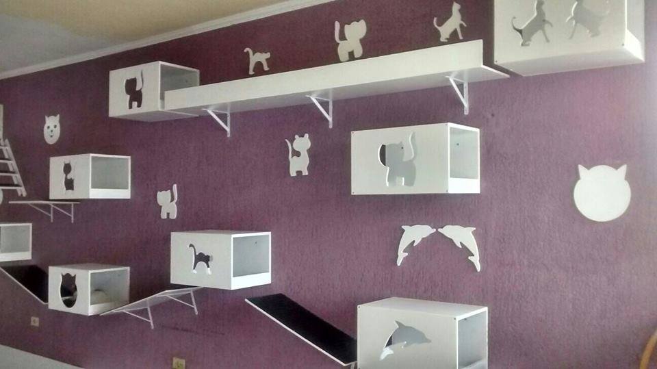 Wall Cats Móveis Personalizados