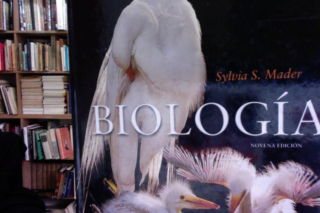 Silvia Mader Libro Pdf Novena Edicion Biologia Premgolacri S Ownd