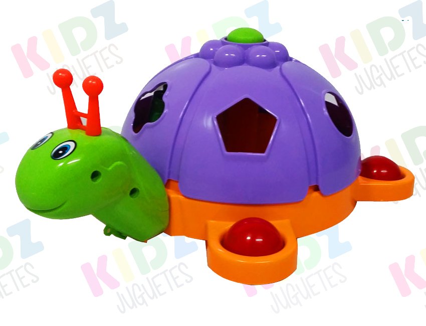 caracol didactico