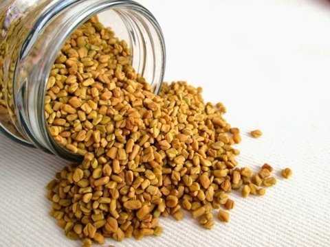 Semillas de fenogreco importado (para brotes) x 250 grs