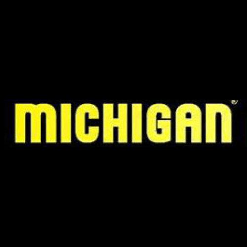 Repuestos Michigan