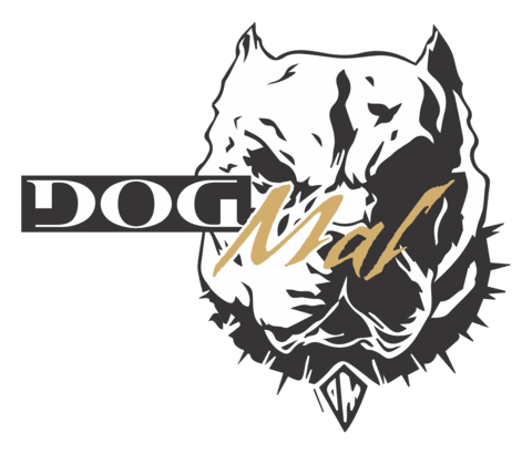Camiseta Dog Mal Modelo 2 Comprar Em Aln1001