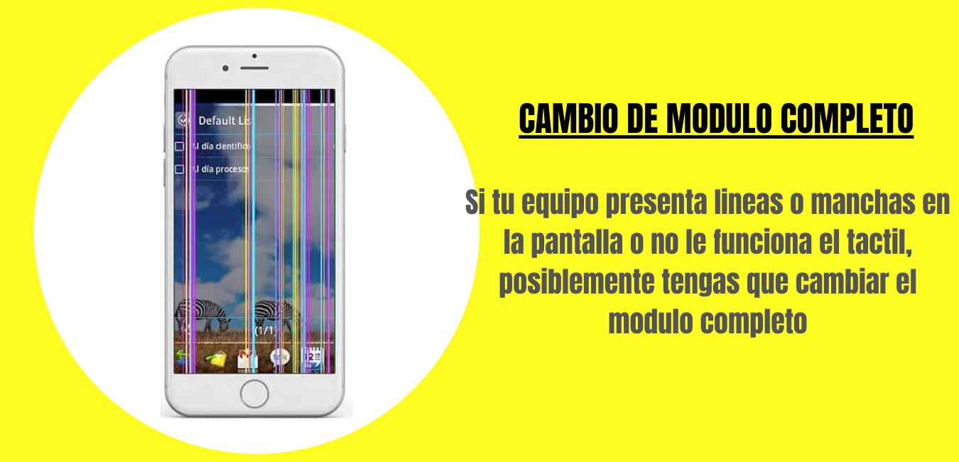 cambio de modulo completo