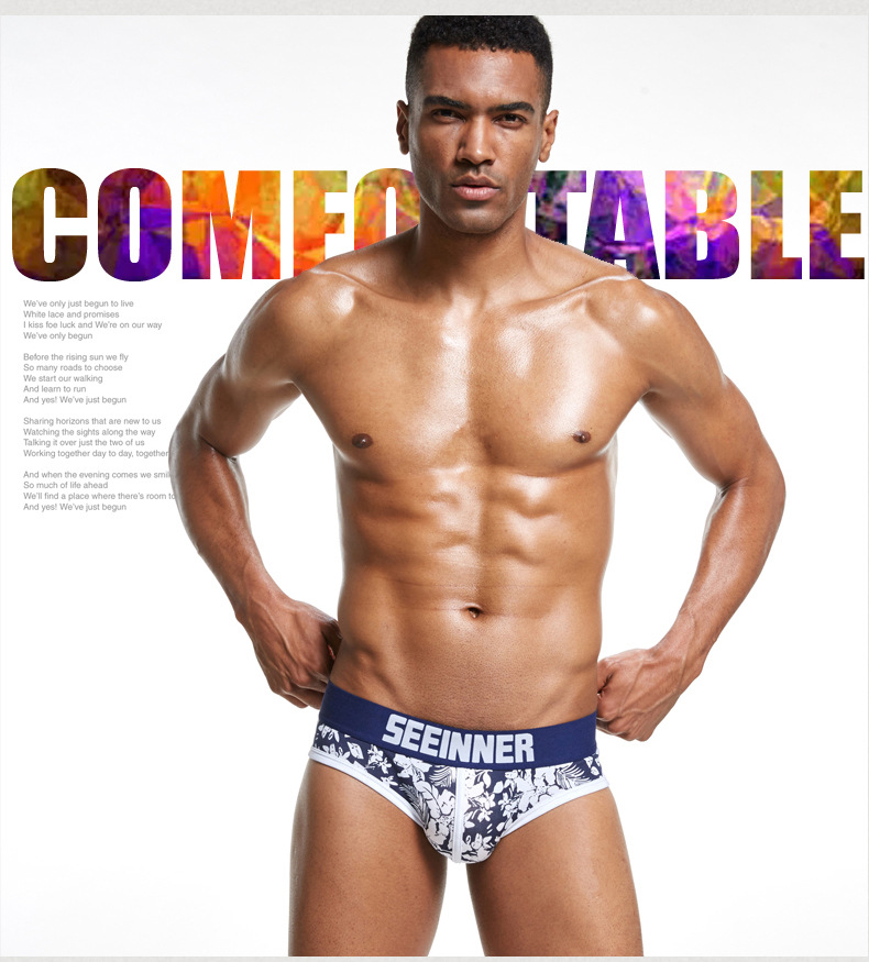 cueca slipe seeinner