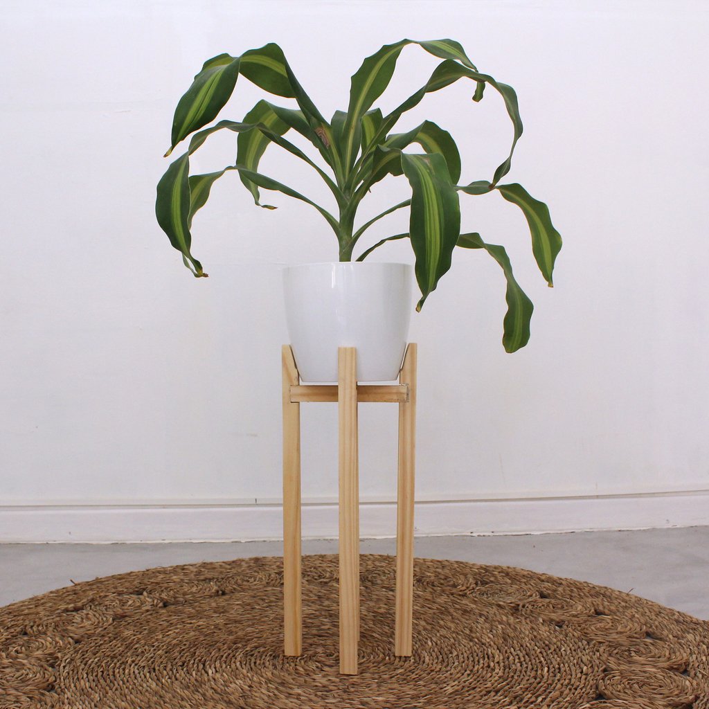 Maceta Hyde Palo De Agua Meraki Decoracion