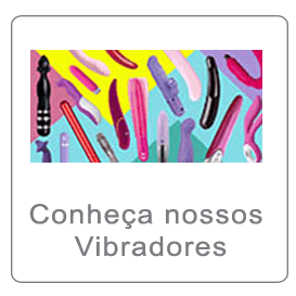 https://www.purainspiracao.com.br/vibradores/
