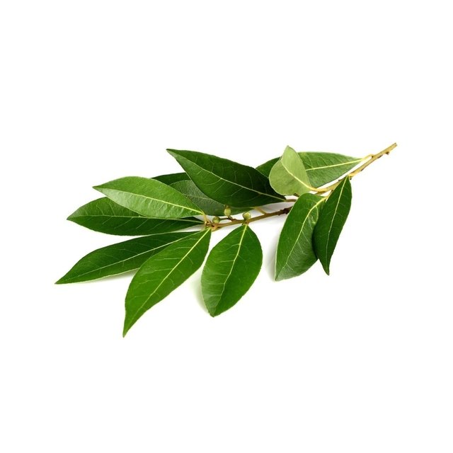 LOURO (molho)