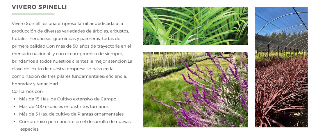 Copia%20de%20Copia%20de%20Copia%20de%20Copia%20de%20Copia%20de%20Copia%20de%20Pa%CC%81gina%20Web%20Tienda%20en%20Li%CC%81nea%20Decoracio%CC%81n%20Casa%20y%20Mobiliario%20Gris%20(1).png
