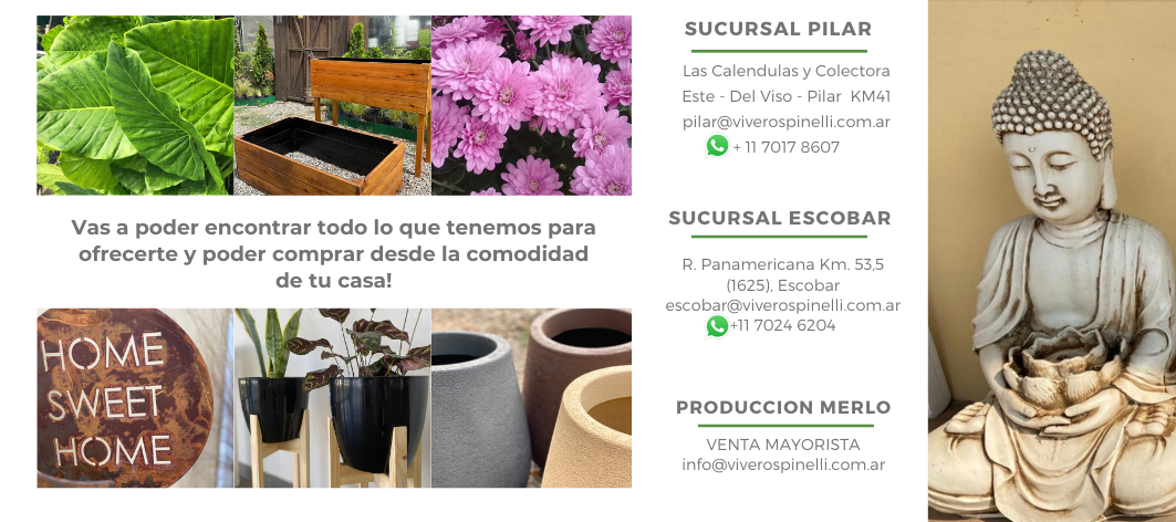 Copia%20de%20Copia%20de%20Copia%20de%20Copia%20de%20Copia%20de%20Copia%20de%20Pa%CC%81gina%20Web%20Tienda%20en%20Li%CC%81nea%20Decoracio%CC%81n%20Casa%20y%20Mobiliario%20Gris%20(2).png