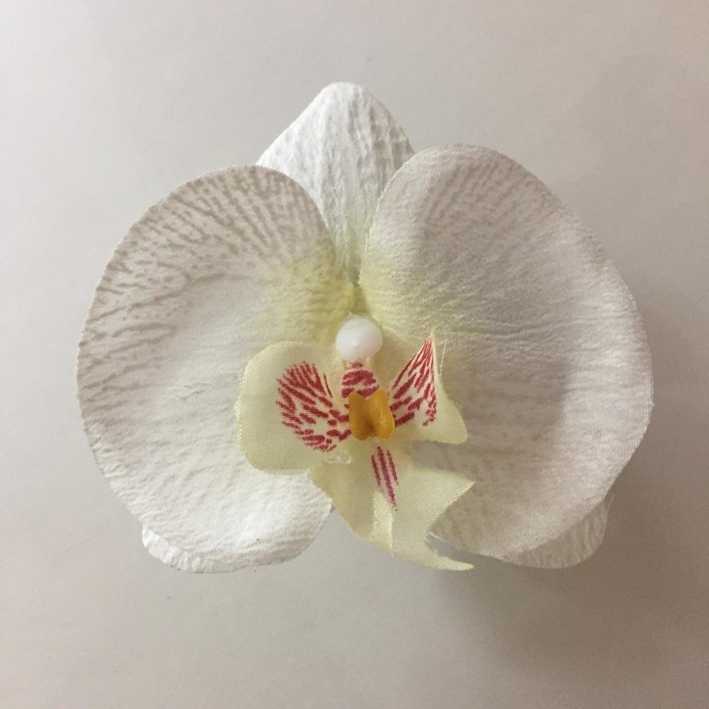 Argola Orquídea Branca Olímpia