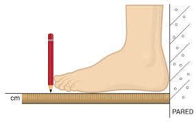 para tomar la medida del pie, se debe colocar un centimetro en el piso y apoyar el pie sobre el mismo. Si apoyas el talon contra una pared te ayudara a mejorar la precisión.