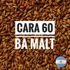 Malta Caramelo 60 Ba-Malt - Silo Cervecero