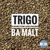 Malta de Trigo Ba-Malt - Silo Cervecero
